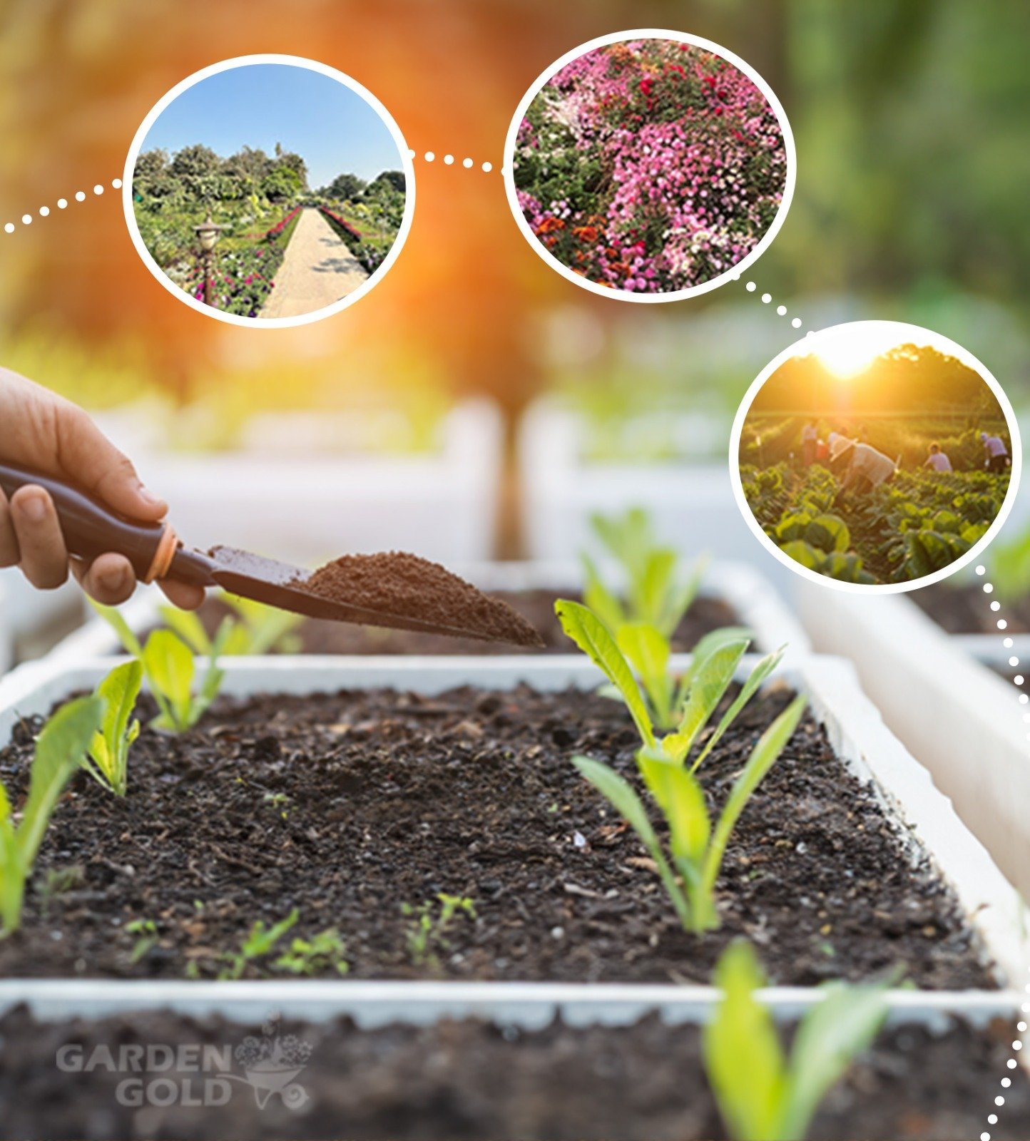 Uses of Vermicompost: A Problem-Solving Guide for Gardeners, Farmers, and Nursery Caretakers